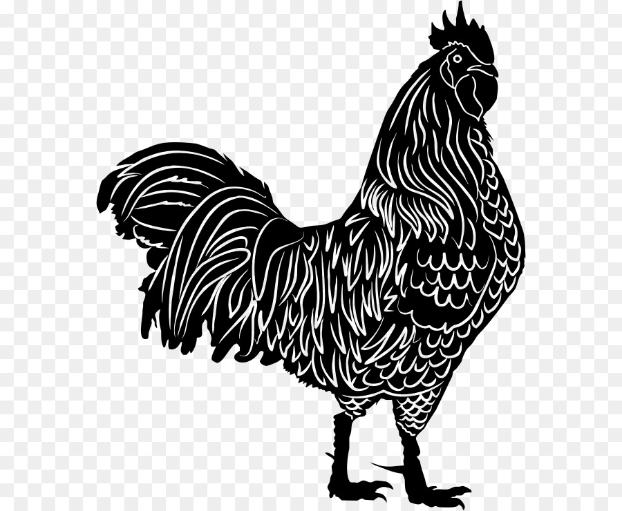 Chicken Rooster Silhouette Clip art - rooster primula png download - 622*740 - Free Transparent Chicken png Download.
