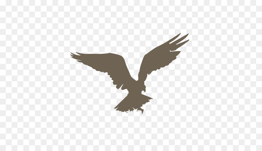 Bird Silhouette Drawing - cartoon eagle png download - 512*512 - Free Transparent Bird png Download.