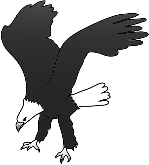 Bald eagle Bird Silhouette Clip art - eagle png download - 600*666 ...