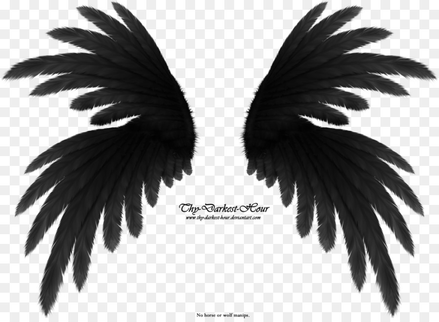 Preview Standard test image - angel wings png download - 1600*1161 - Free Transparent Preview png Download.