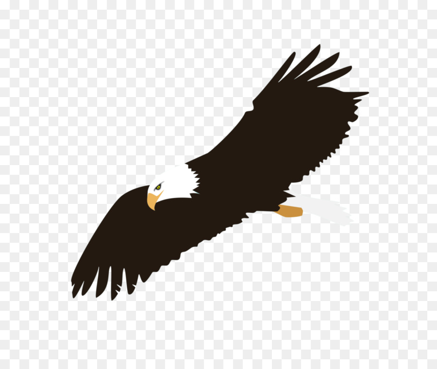Bald eagle Clip art Portable Network Graphics Vector graphics - notification silhouette png download - 1024*861 - Free Transparent Bald Eagle png Download.