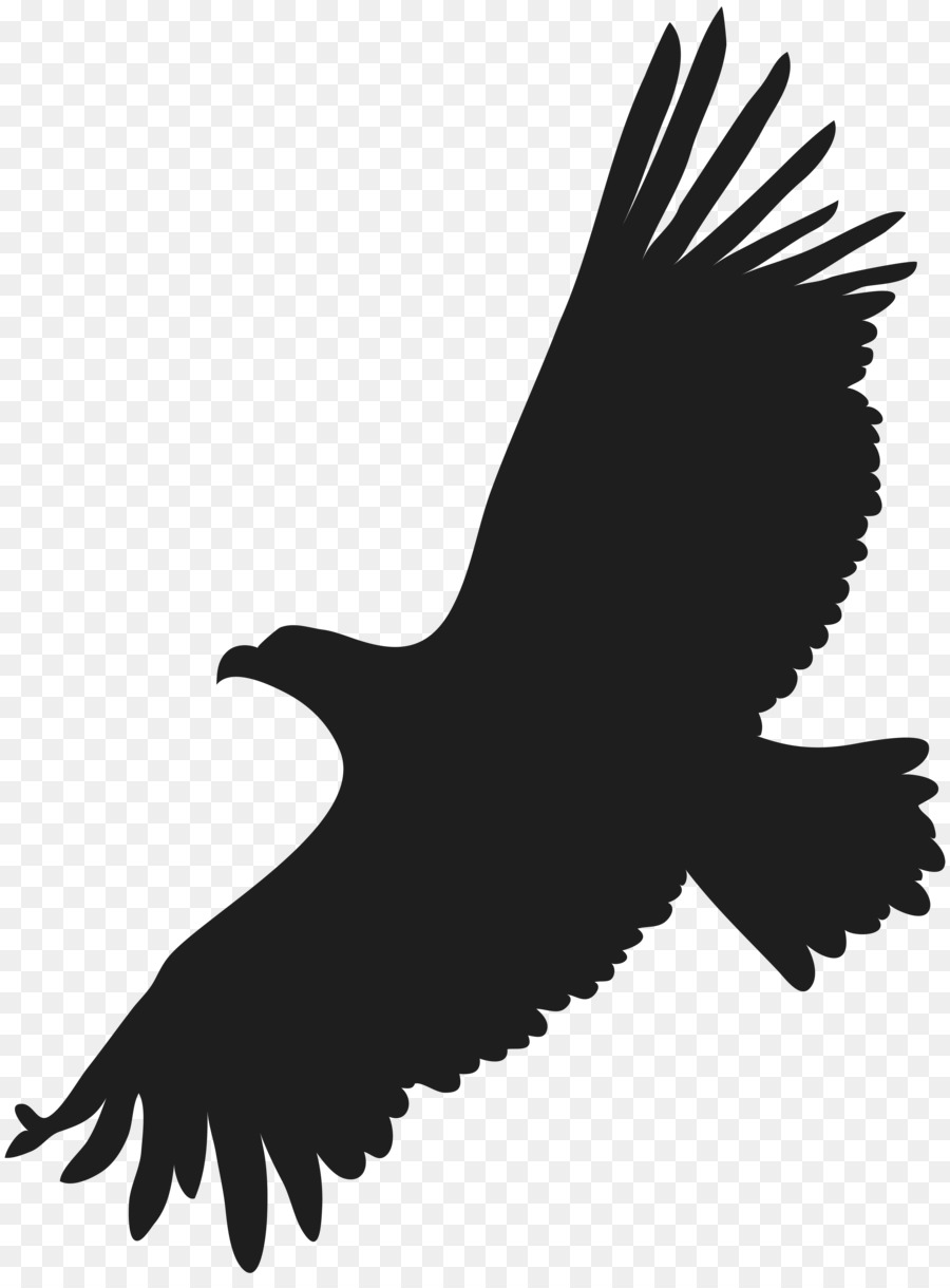 Bald Eagle Clip art - gallery png download - 5941*8000 - Free Transparent Bald Eagle png Download.