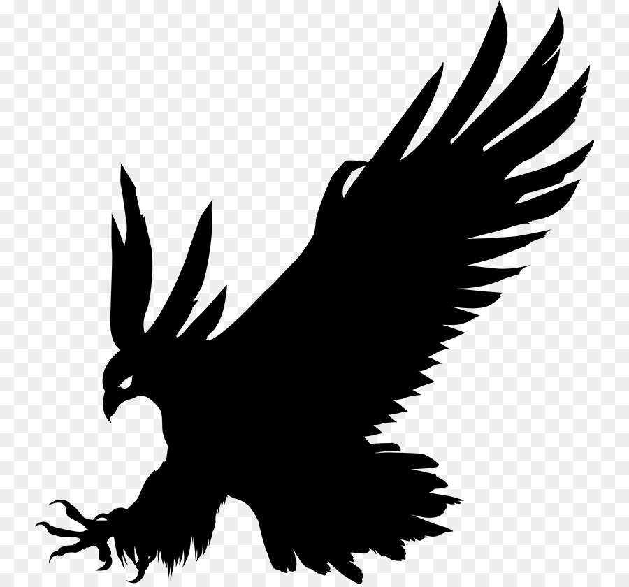 Bald Eagle Bird Silhouette Gray wolf - eagle png download - 800*836 - Free Transparent Bald Eagle png Download.