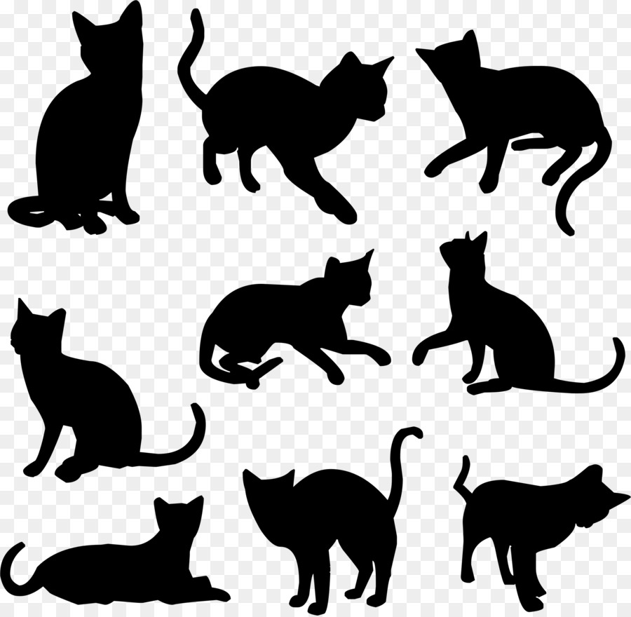 Black cat Kitten Felidae Silhouette - cat vector png download - 2373*2316 - Free Transparent Cat png Download.