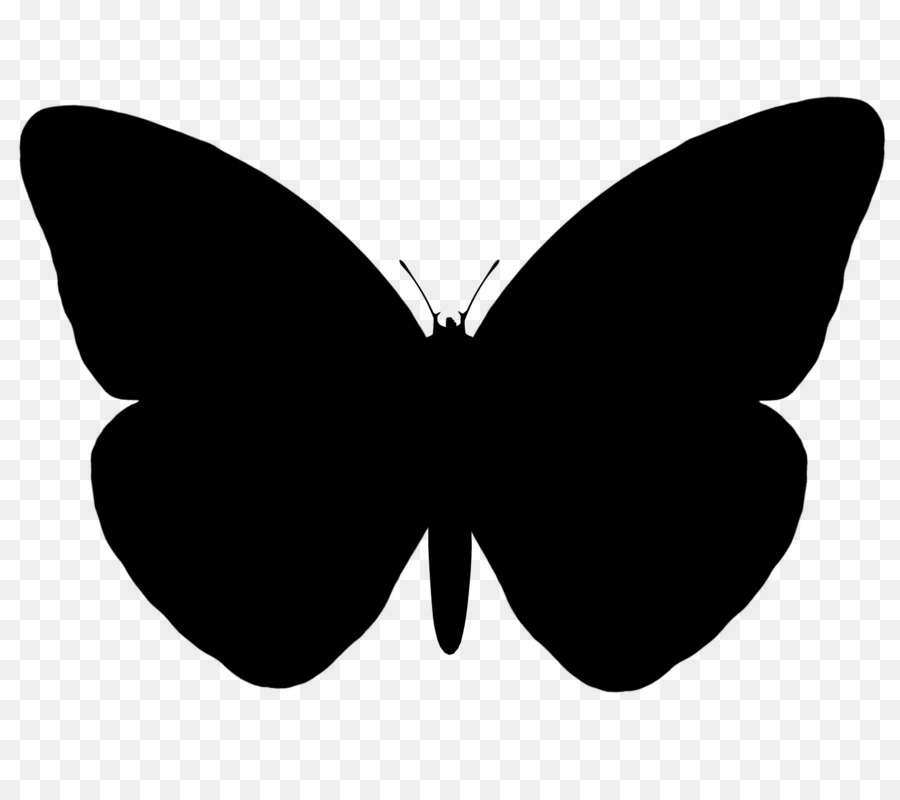 Butterfly Vector graphics Portable Network Graphics Silhouette Image -  png download - 1700*1500 - Free Transparent Butterfly png Download.