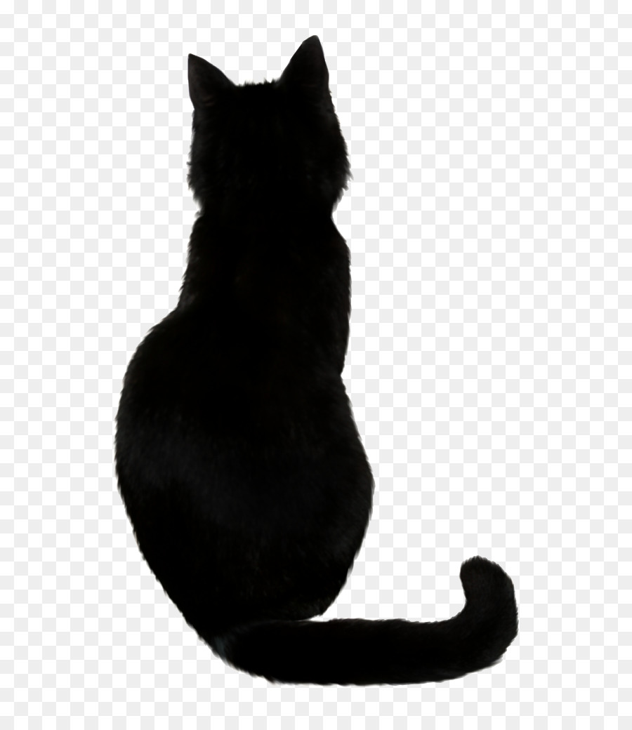 Black cat Vector graphics Illustration Silhouette - black cat png free png download - 682*1024 - Free Transparent Cat png Download.