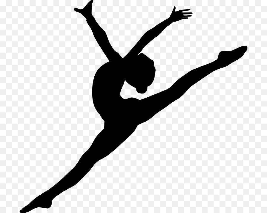 The Silhouette Of Hip Hop Dancer On White Background. Stylish Athletic  Young Woman In Dance Pose. Black And White Stock Vector Illustration  Royalty Free SVG, Cliparts, Vectors, and Stock Illustration. Image  137274077.