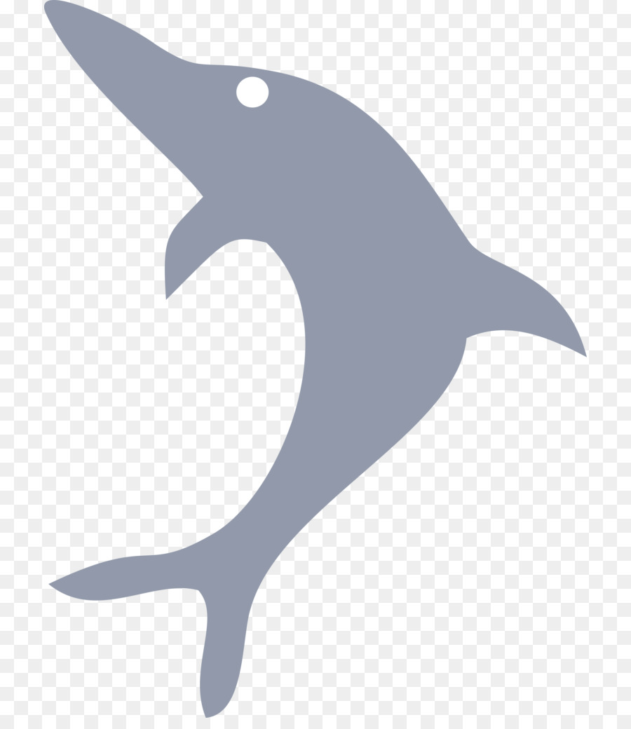 Bottlenose dolphin Clip art - dolphin png download - 774*1024 - Free Transparent Dolphin png Download.