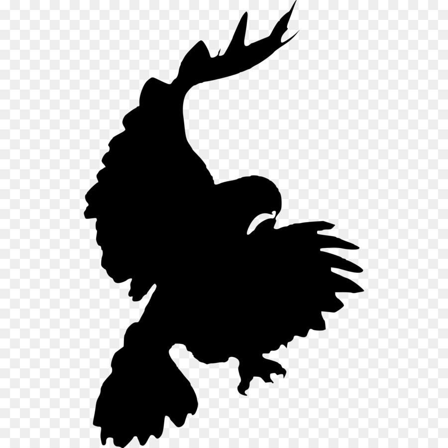 Bird Red-tailed hawk Clip art - raven png download - 2400*2400 - Free Transparent Bird png Download.