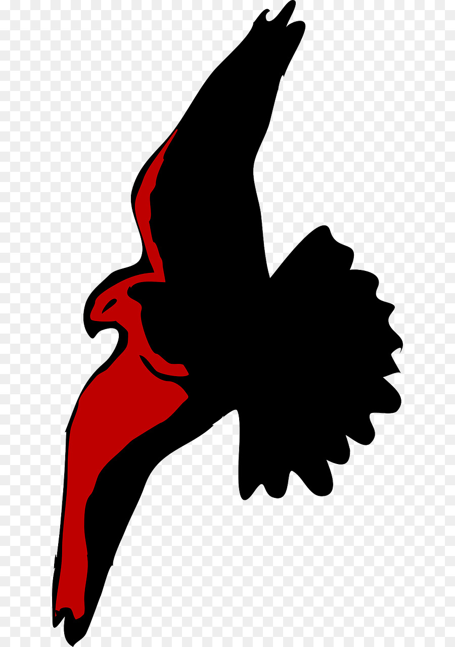 Bald Eagle Bird Hawk Clip art - eagle png download - 694*1280 - Free Transparent Bald Eagle png Download.