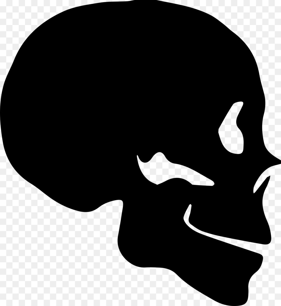 Skull YouTube Silhouette - skull png download - 1764*1920 - Free Transparent Skull png Download.