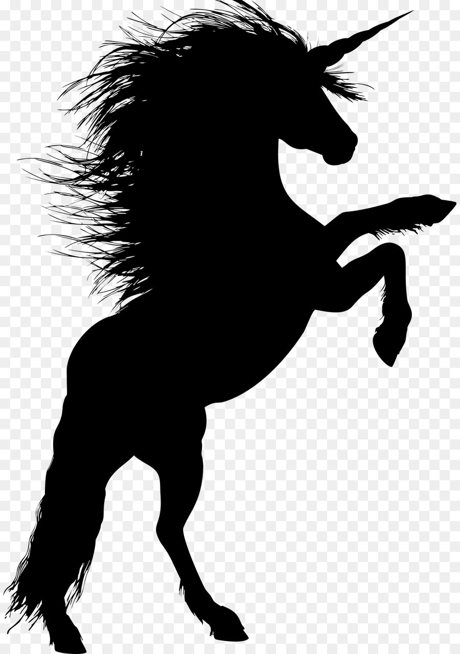 Horse Stallion Rearing Silhouette Unicorn - horse riding png download - 887*1280 - Free Transparent Horse png Download.