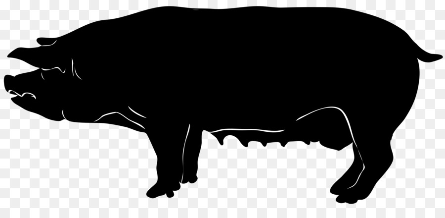 Domestic pig Silhouette Clip art - Pig Silhouette png download - 2000*935 - Free Transparent Domestic Pig png Download.