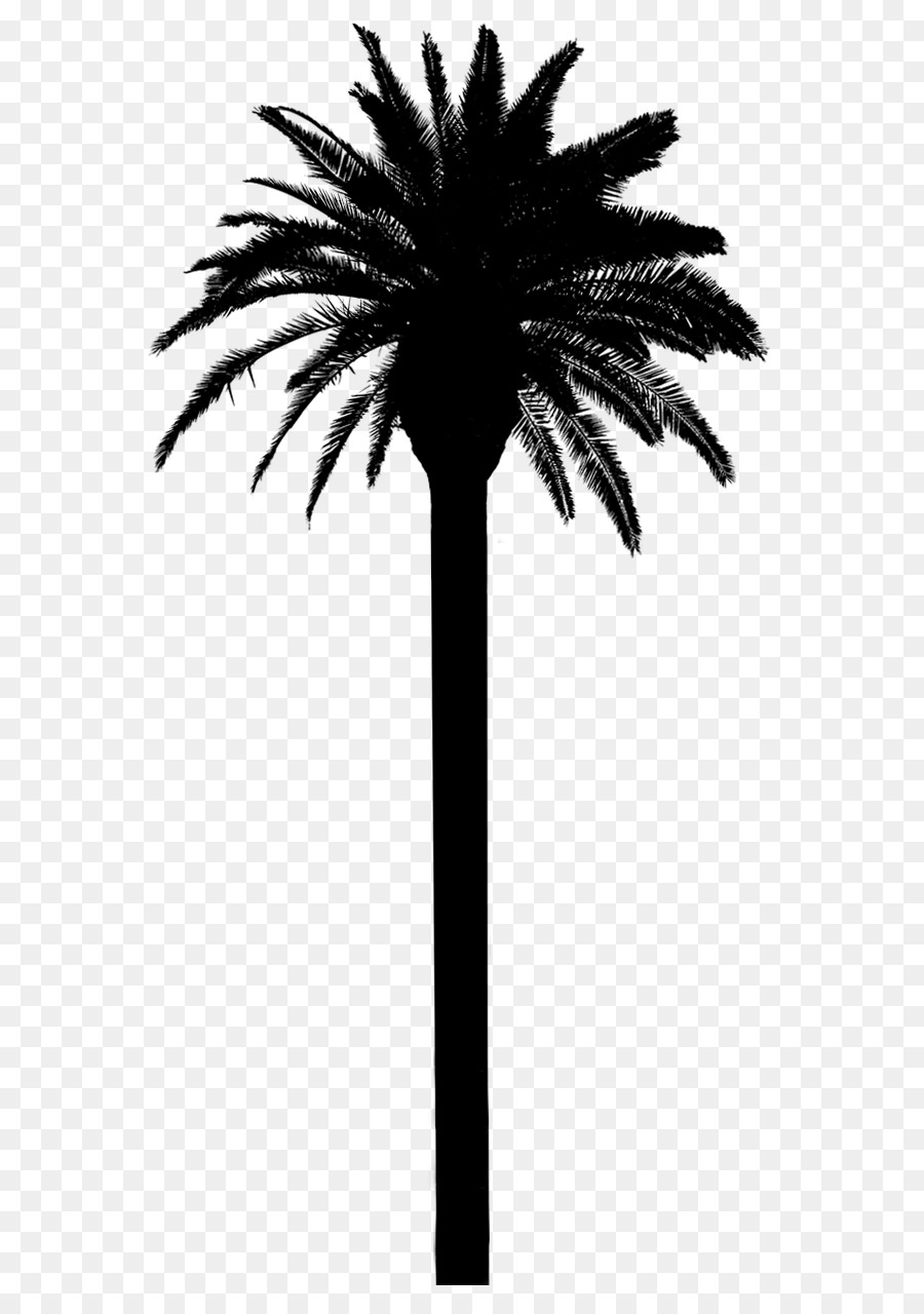Asian palmyra palm Date palm Palm trees Silhouette Plant stem -  png download - 750*1278 - Free Transparent Asian Palmyra Palm png Download.