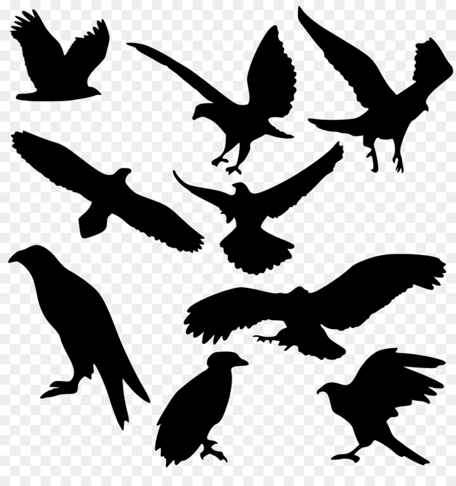 Bird Silhouette Clip art - raven png download - 958*1001 - Free Transparent Bird png Download.