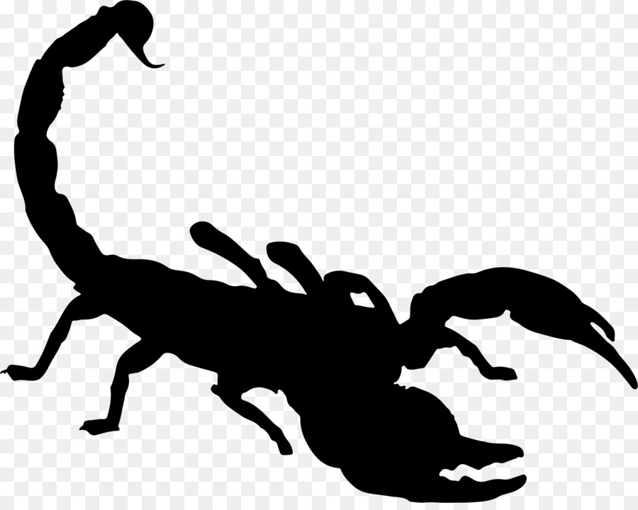 Scorpion Silhouette Clip art - scorpions png download - 2350*1854 - Free Transparent Scorpion png Download.