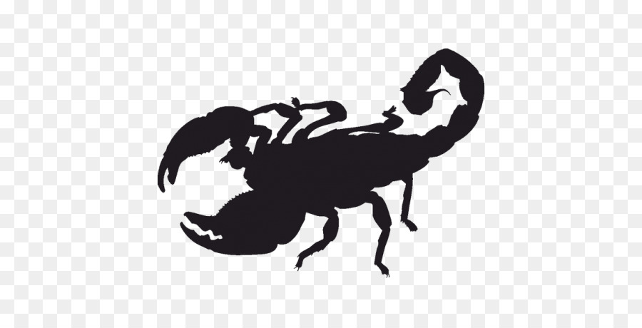 Scorpion Silhouette Clip art - Scorpion png download - 458*458 - Free Transparent Scorpion png Download.