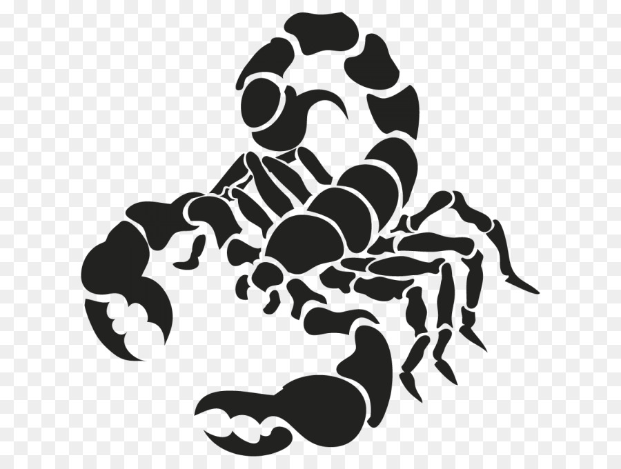 Scorpion Drawing - cancer astrology png download - 700*679 - Free Transparent Scorpion png Download.
