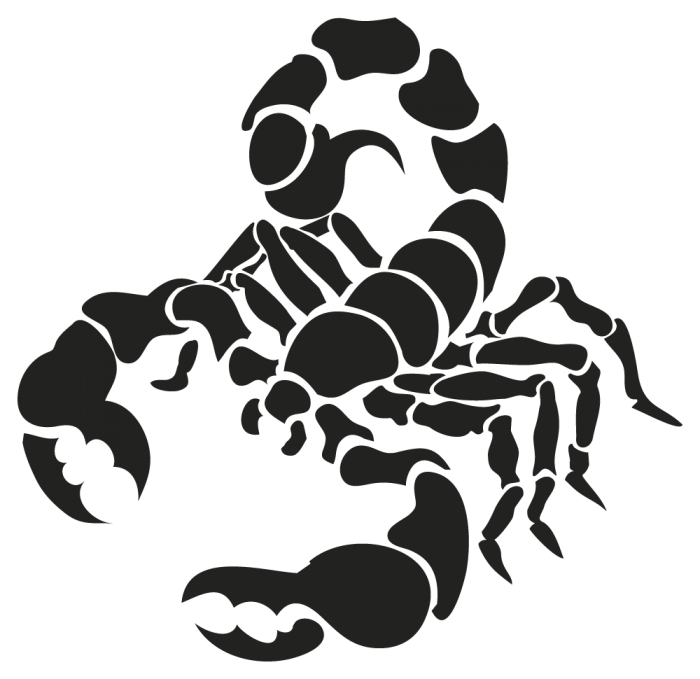 Scorpion Drawing - cancer astrology png download - 700*679 - Free ...