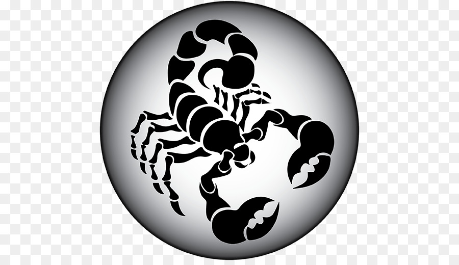 Scorpion Clip art - Scorpion png download - 512*512 - Free Transparent Scorpion png Download.