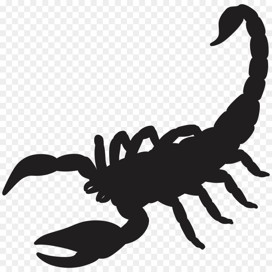 Scorpion Silhouette Drawing - Scorpion png download - 1201*1201 - Free Transparent Scorpion png Download.