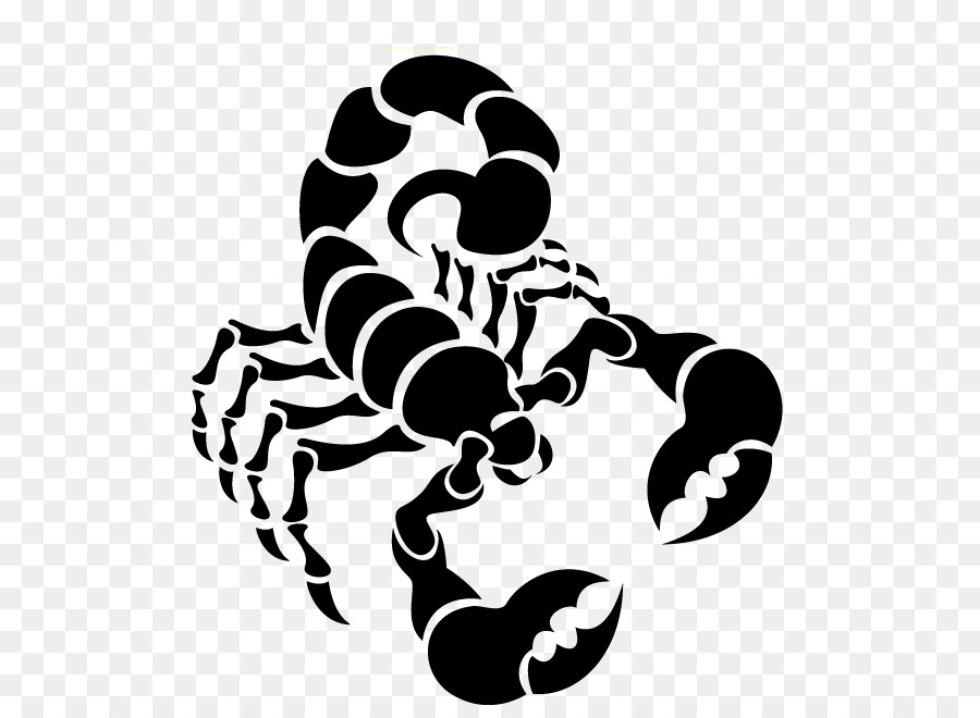 Scorpion Clip art - Size Cliparts png download - 637*900 - Free ...