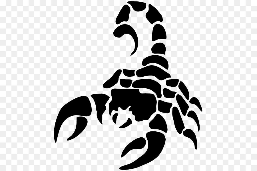 Scorpion Drawing Clip art - Scorpion tattoo silhouette PNG png download ...