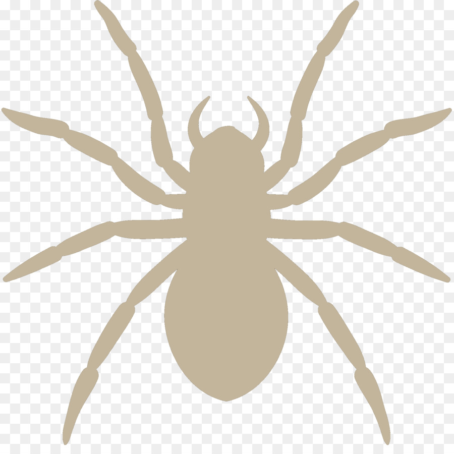 Wolf spider Silhouette Image Photography -  png download - 1883*1850 - Free Transparent Spider png Download.