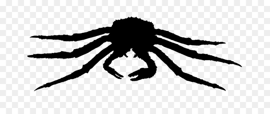 Arachnid Insect Silhouette Membrane -  png download - 1692*680 - Free Transparent Arachnid png Download.