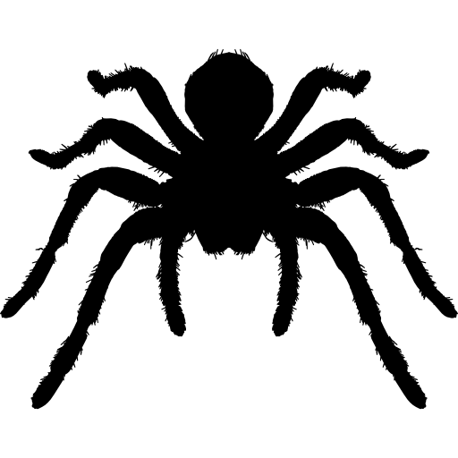 Spider Tarantula Insect Arthropod - animal silhouettes png download ...