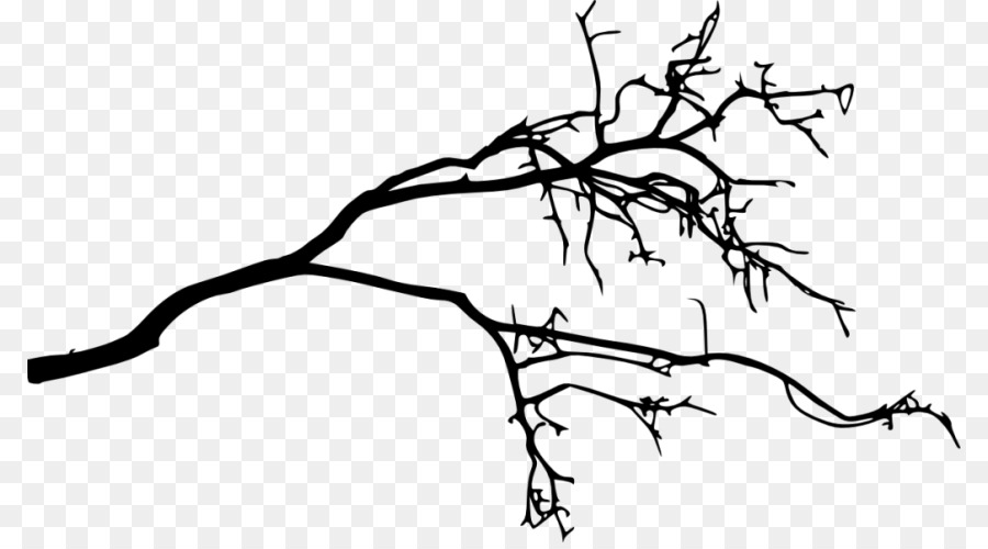 Branch Silhouette Drawing - Silhouette png download - 850*494 - Free Transparent  png Download.