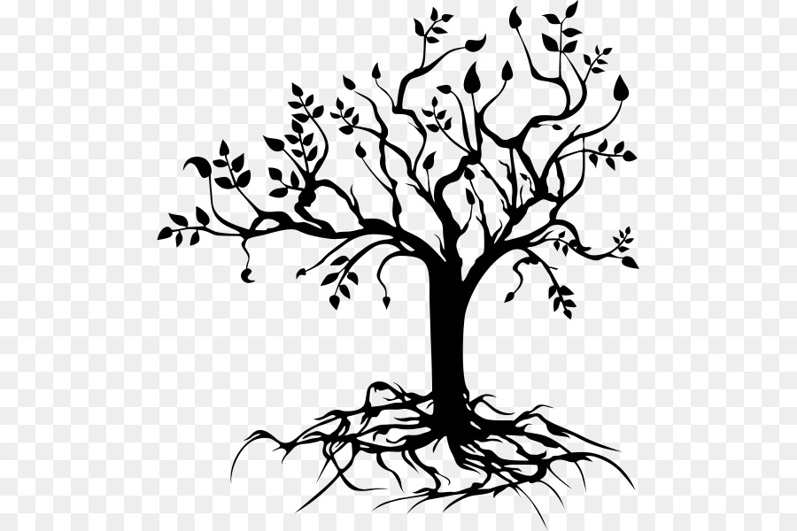 Drawing Tree of life - tree png download - 545*600 - Free Transparent Drawing png Download.