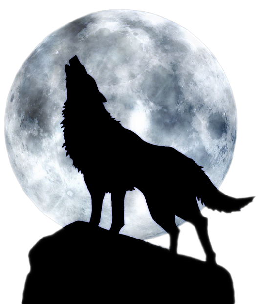 Dog Arctic wolf Three Wolf Moon T-shirt - Full moon howl png download ...