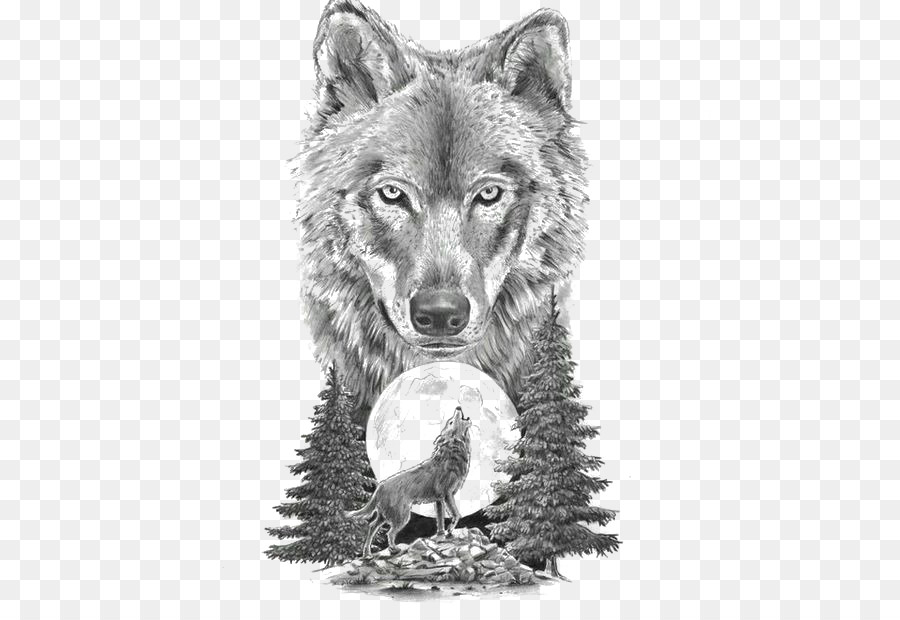 Gray wolf Art In Motion Tattoo Studio Tattoo artist Drawing - Sketch animal wolf png download - 564*611 - Free Transparent Gray Wolf png Download.