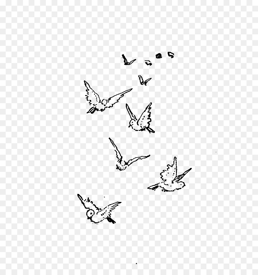 Bird flight Drawing Flock Clip art - simple bird png download - 800*958 - Free Transparent Bird png Download.