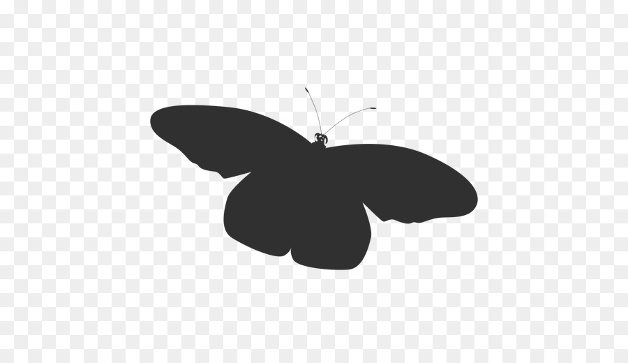 Brush-footed butterflies Silhouette Butterfly Portable Network Graphics Image - silhouette png download - 512*512 - Free Transparent Brushfooted Butterflies png Download.
