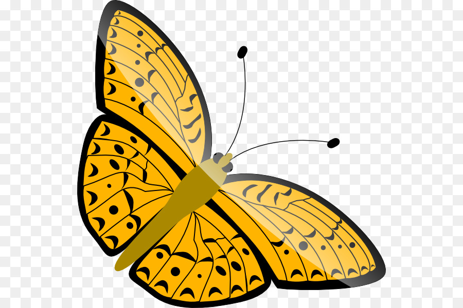 Butterfly Clip art - Simple Cartoon Butterfly png download - 600*600 - Free Transparent Butterfly png Download.