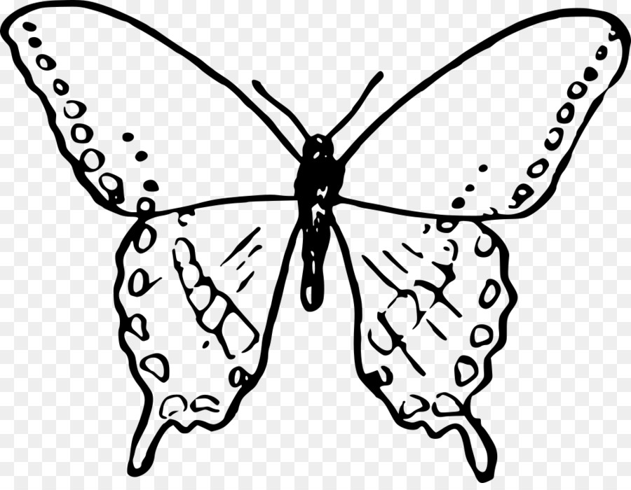 Butterfly Computer Icons Coloring book Clip art - butterfly png download - 1000*767 - Free Transparent Butterfly png Download.