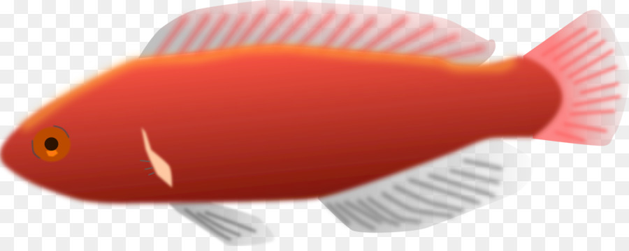 Fish Computer Icons Clip art - fish tank png download - 2400*941 - Free Transparent Fish png Download.