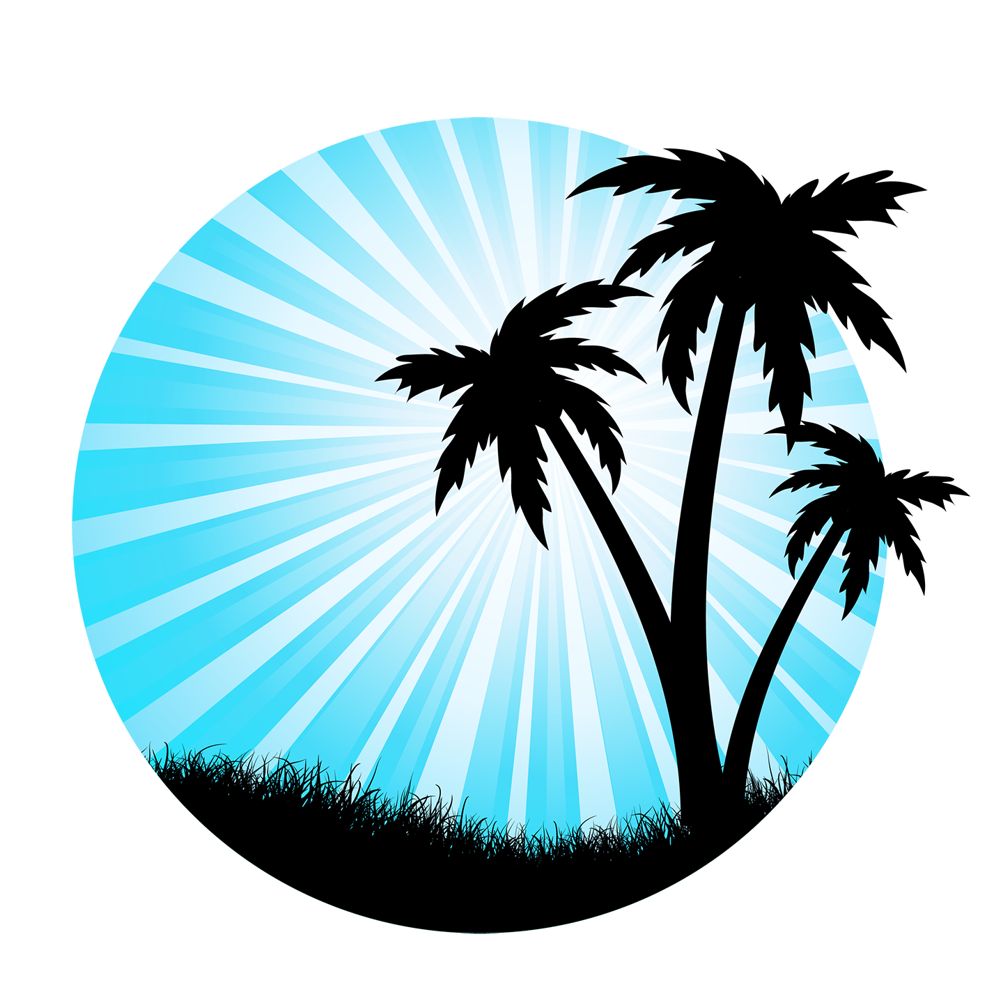 Arecaceae silhouette tree drawing silhouette png download 1417 1417