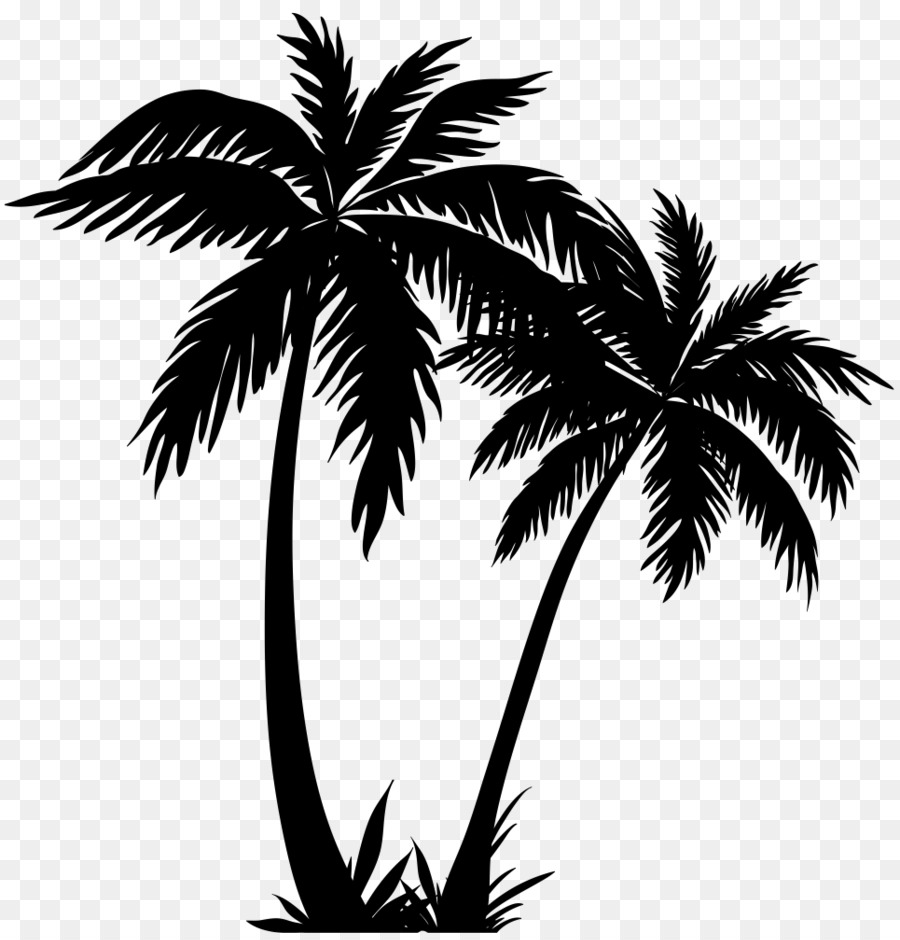 Arecaceae Silhouette Drawing - Silhouette png download - 965*1000 - Free Transparent Arecaceae png Download.