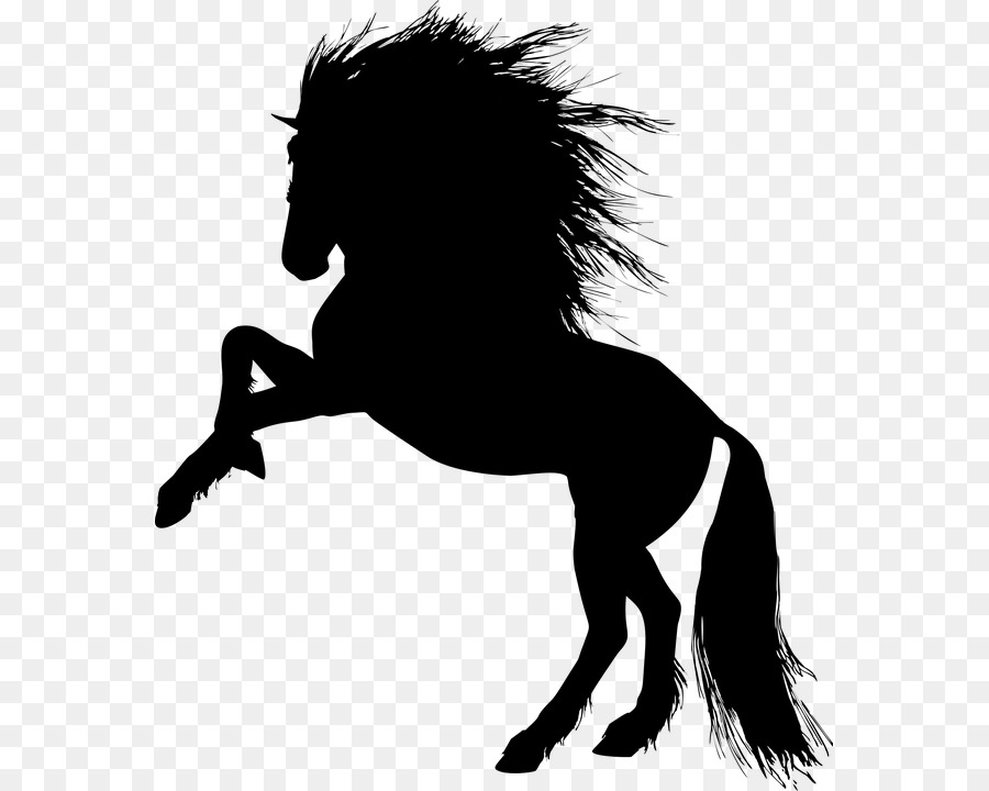 Horse Stallion Pony - horse png download - 617*720 - Free Transparent Horse png Download.