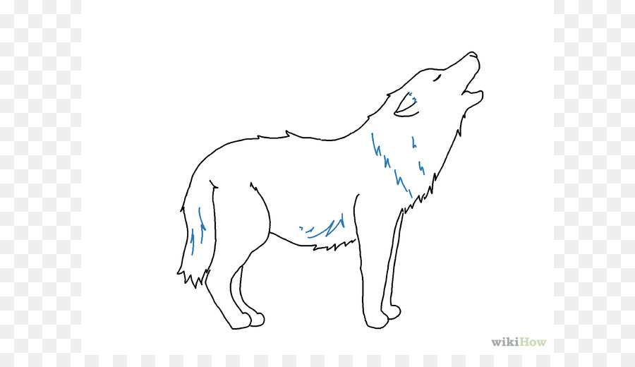Gray wolf Drawing Line art Sketch - Easy Wolf Drawings png download - 670*503 - Free Transparent  png Download.