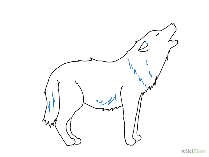 Gray wolf Drawing Line art Sketch - Easy Wolf Drawings png download ...