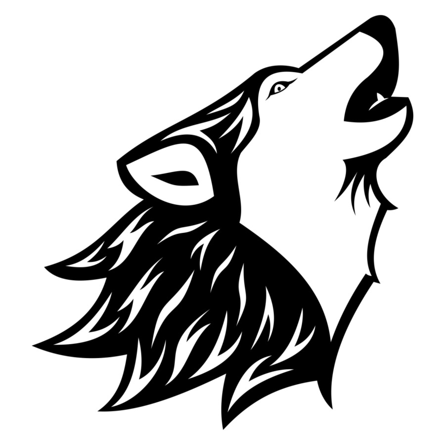 Gray wolf Black wolf Drawing Clip art - wolf png download - 1024*1024 - Free Transparent Gray Wolf png Download.