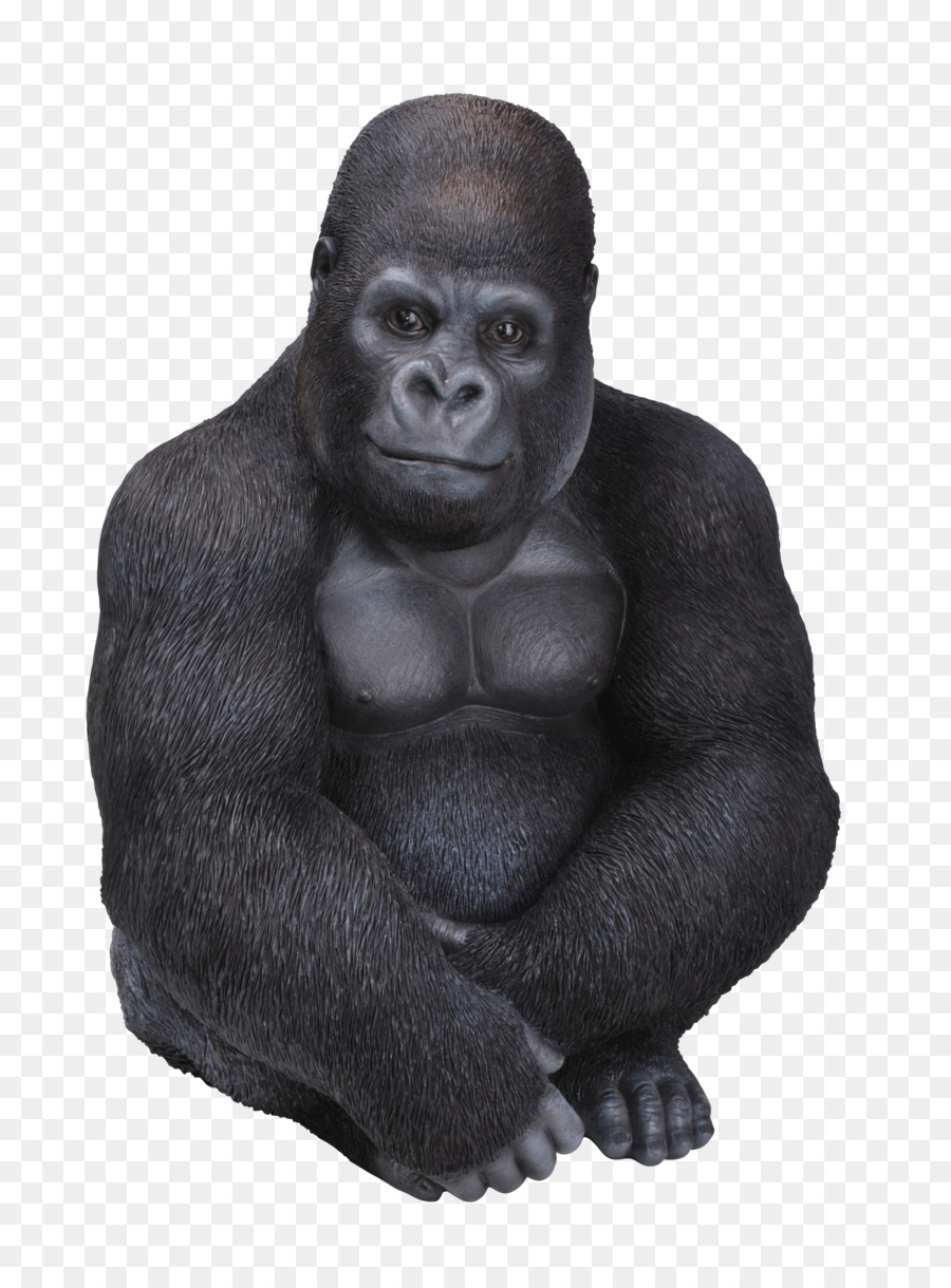 Western gorilla Vivid Arts Gorilla Resin Ornament Vivid Arts Real Life Sitting Gorilla Vivid Arts Sitting Chimpanzee - Baby Elephant Sitting Statue png download - 2344*3165 - Free Transparent Western Gorilla png Download.