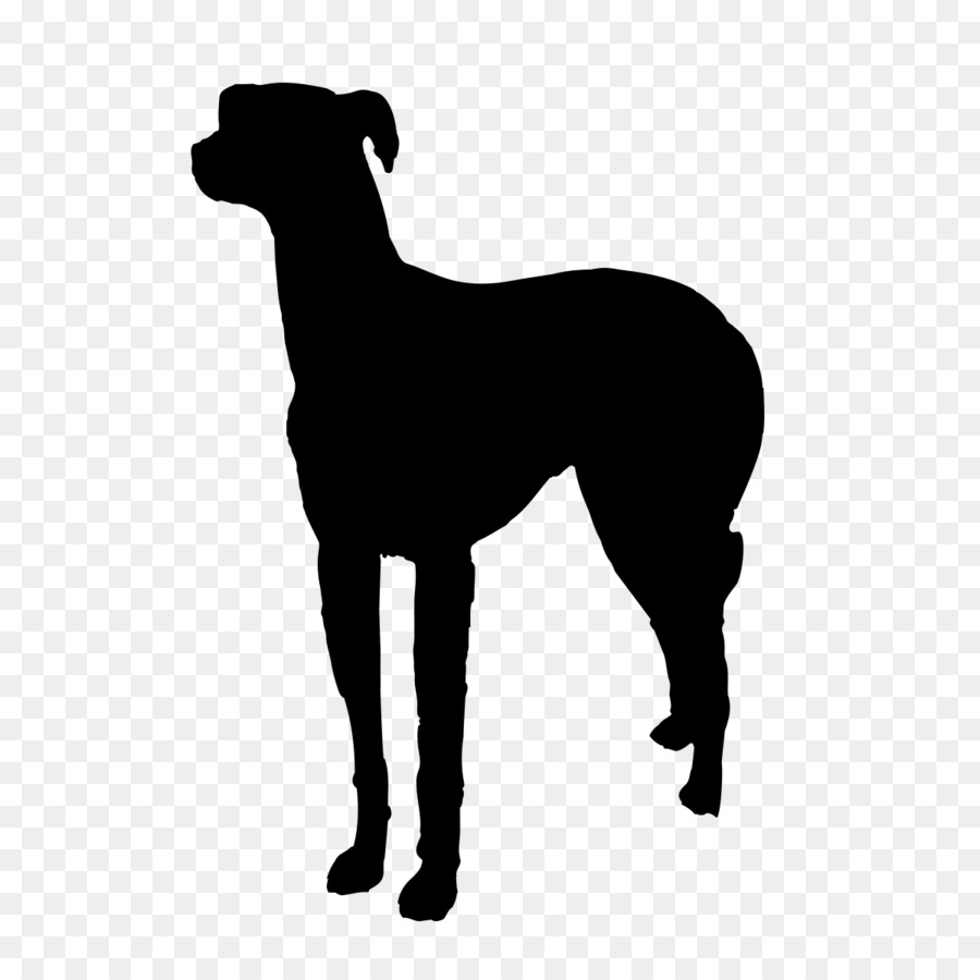Italian Greyhound Pet sitting Dog walking Dog breed - dogs vector png download - 1200*1200 - Free Transparent Italian Greyhound png Download.