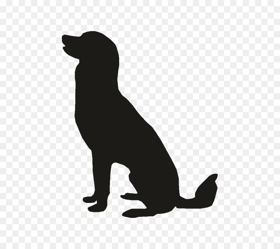 Pet sitting Labrador Retriever Puppy Golden Retriever Beagle - puppy png download - 800*800 - Free Transparent Pet Sitting png Download.