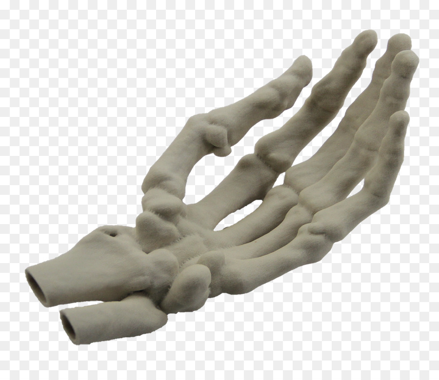 Hand model Finger Human skeleton - hand png download - 883*768 - Free Transparent Hand Model png Download.