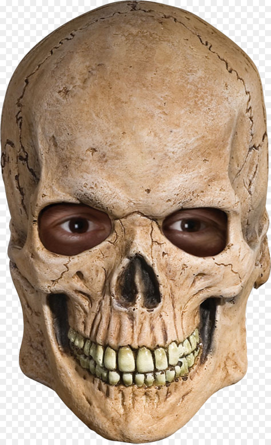 Mask Skull Human skeleton Costume - mask png download - 1473*2418 - Free Transparent Mask png Download.
